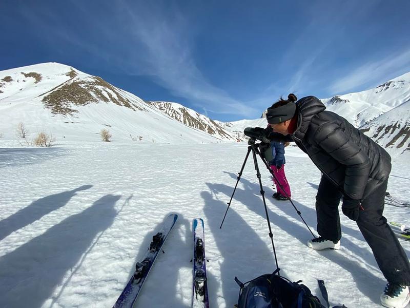 Open Ski Run spécial Tétras Lyre Du 11 au 18 fév 2025