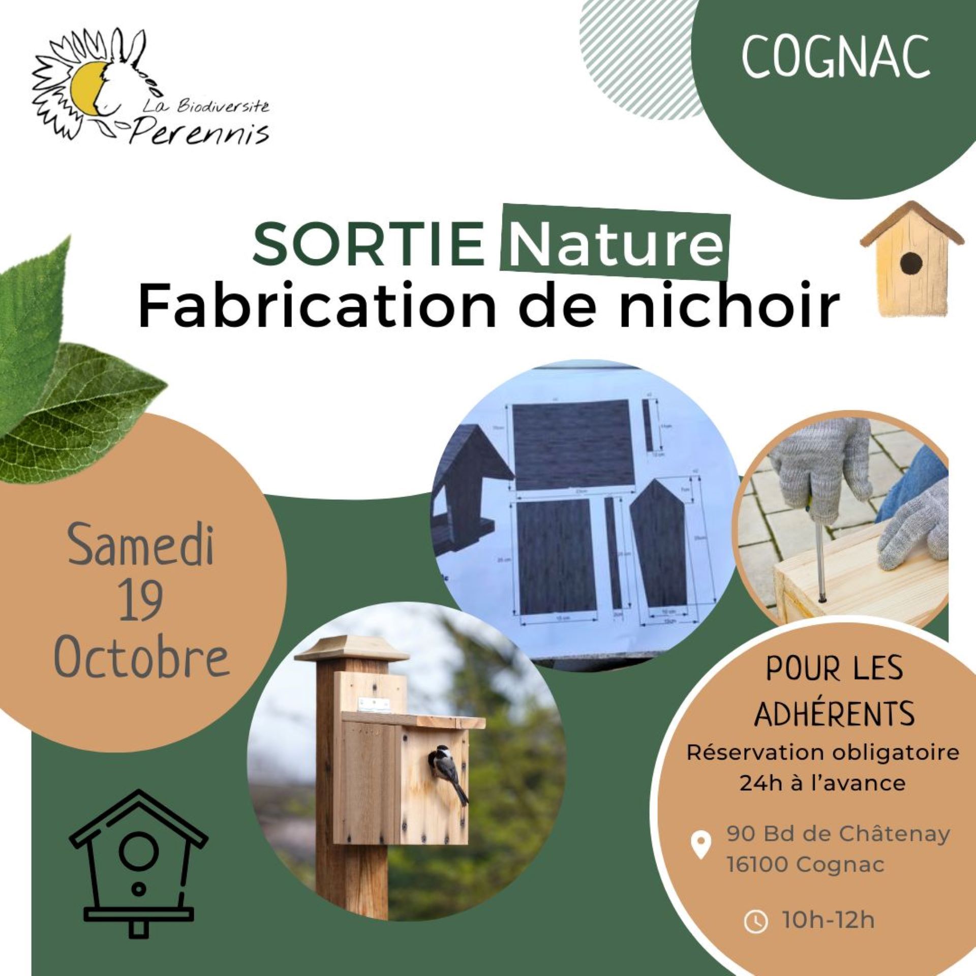 Sortie Nature Perennis | Fabrication de nichoirs