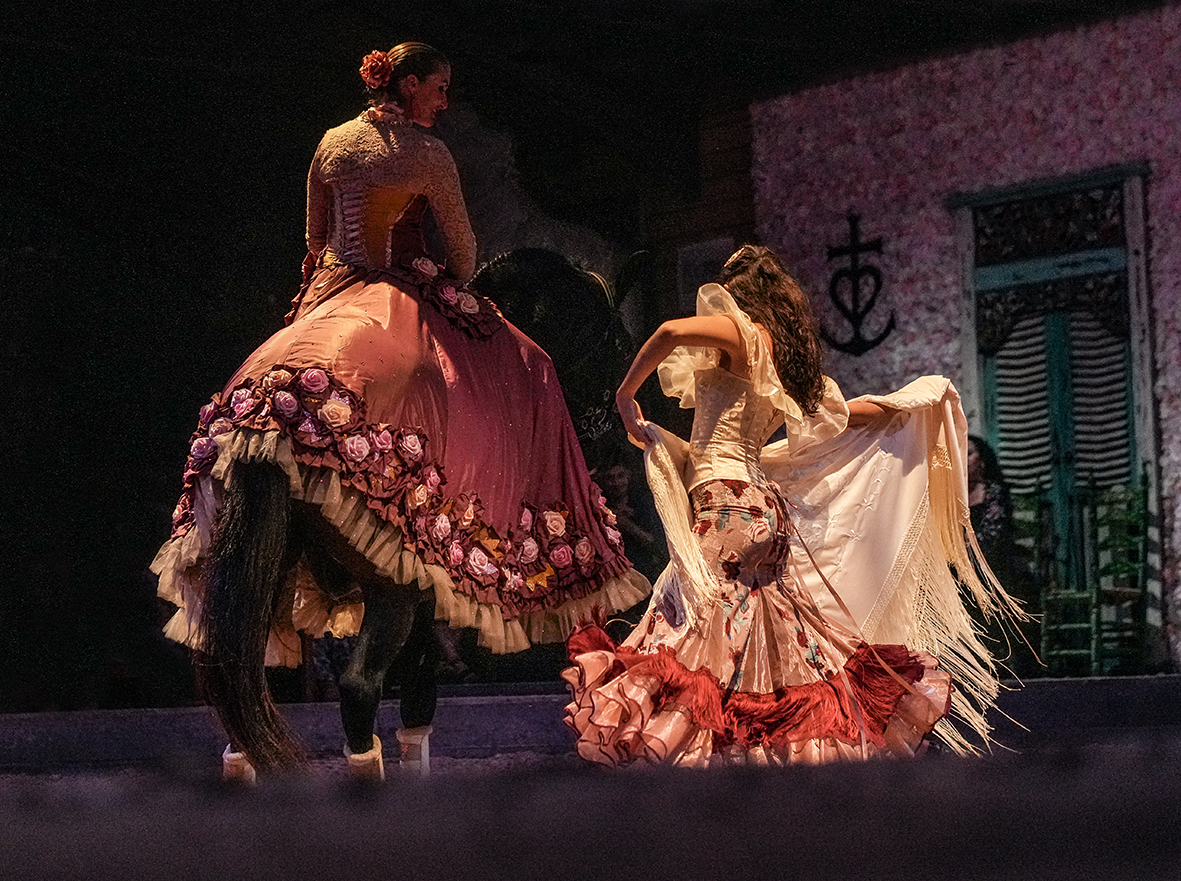 Théâtre Equestre Camarkas, Saintes-Maries-de-la-Mer - photo 2
