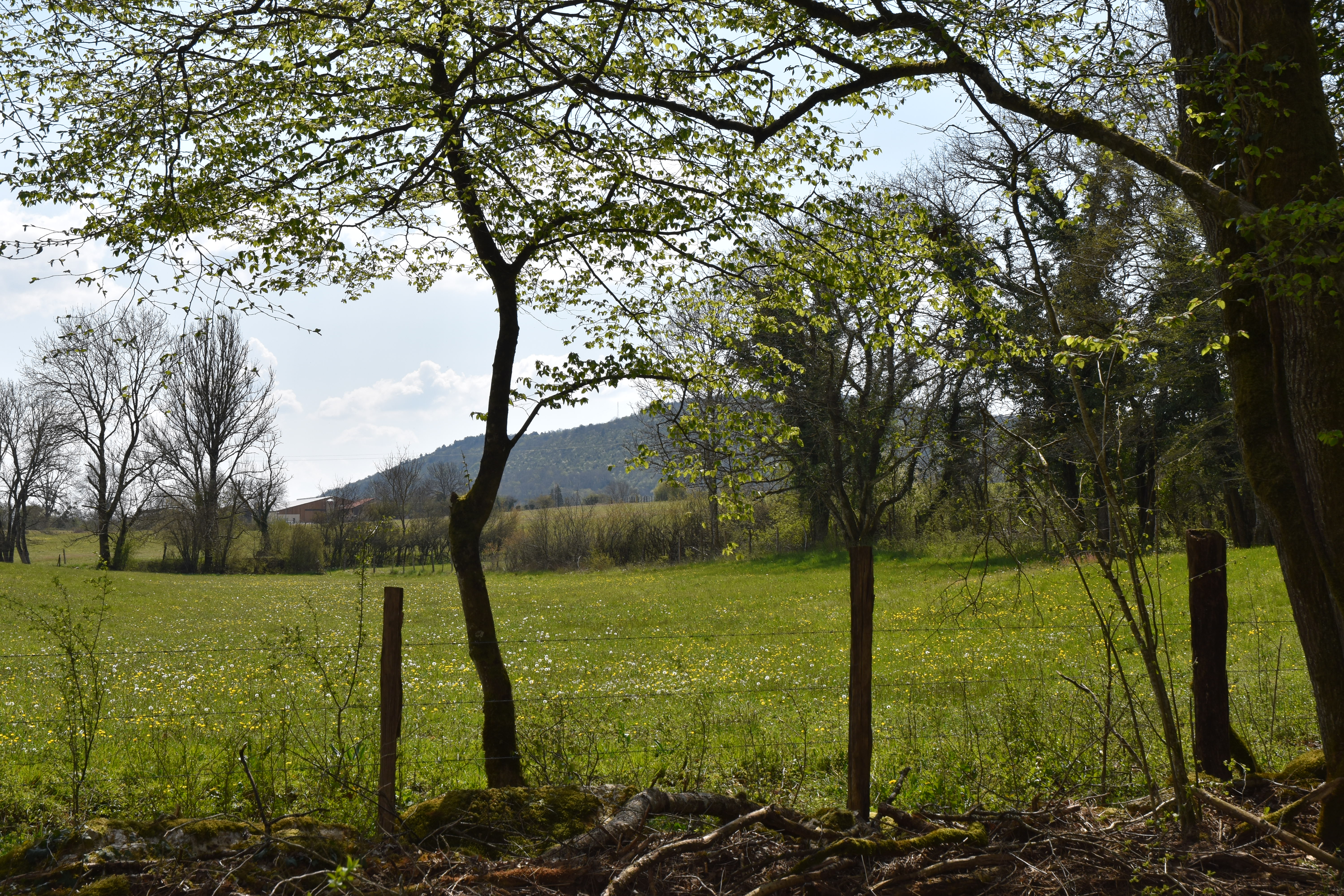 Gour de la Rande - Bois du Clapay