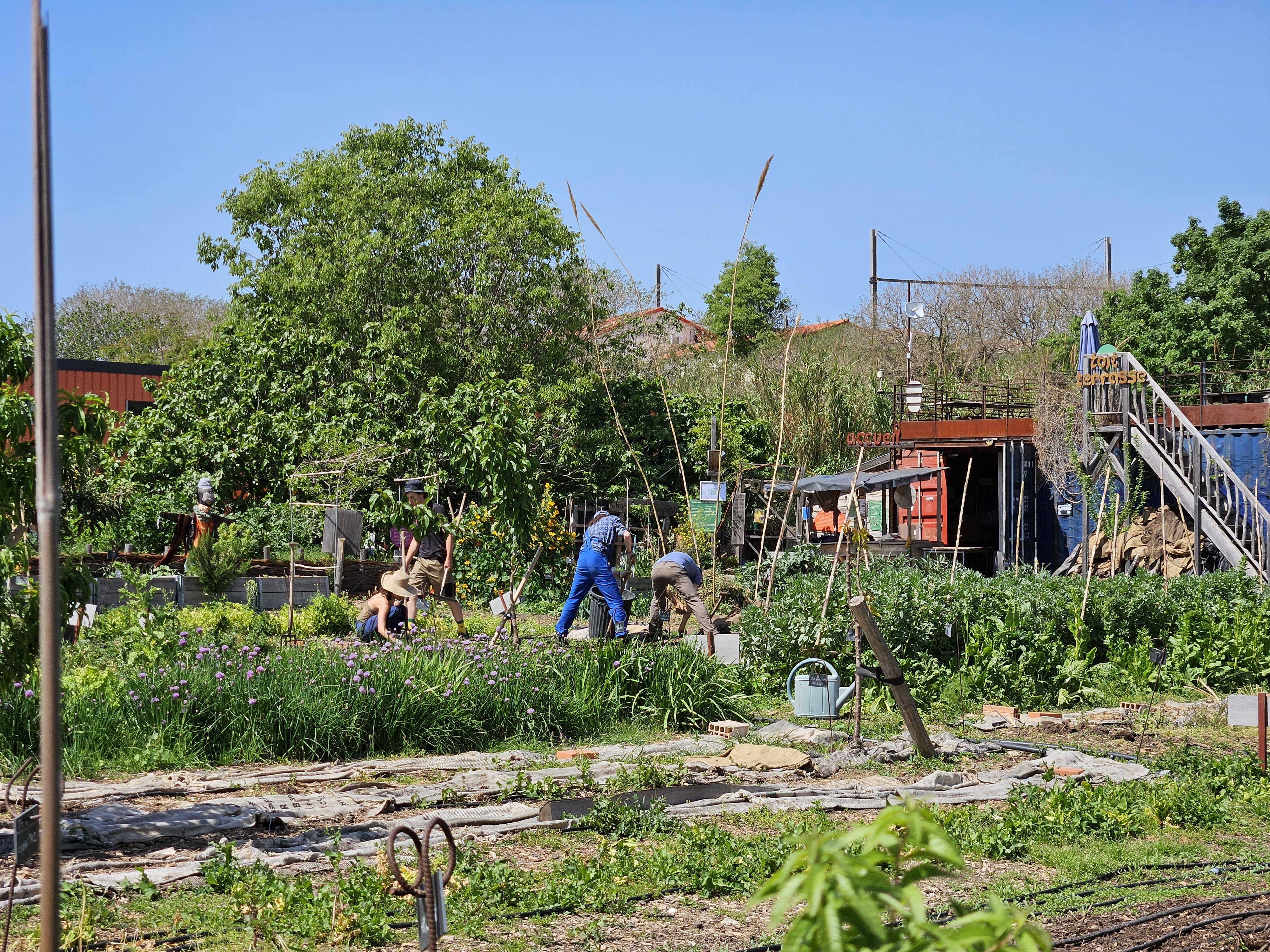 Le Talus, Marseille 12e Arrondissement - photo 4