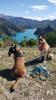 Passion Dog 04_Castellane