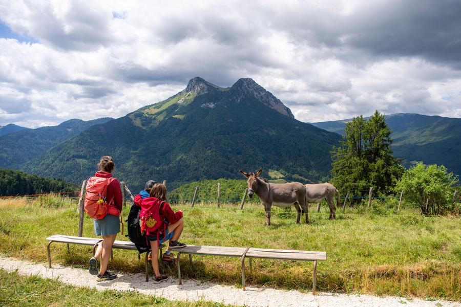 Grande Traversée des Bauges d'Annecy à Chambéry - Rando pédestre 6 jours_Annecy
