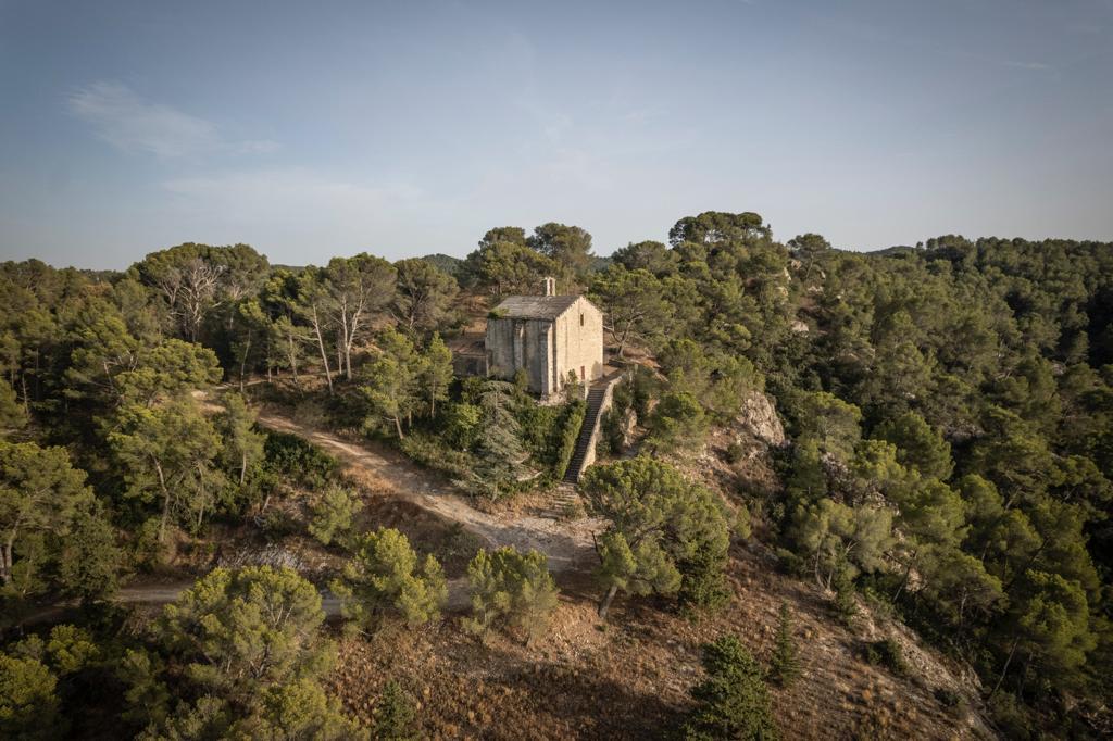 Petit Gîte Notre Dame, Saint-Étienne-du-Grès - photo 8