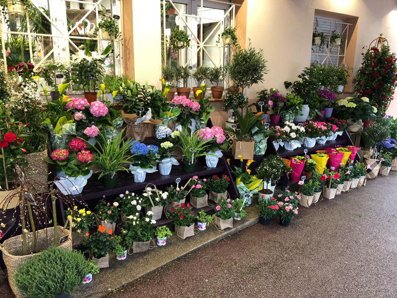 Plaisir Fleuri - Villeneuve-Loubet