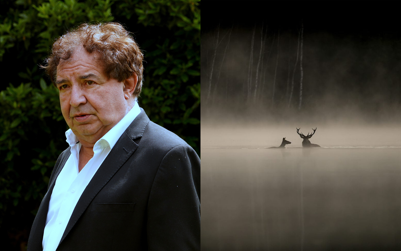 La forêt – Jean-François Heisser
