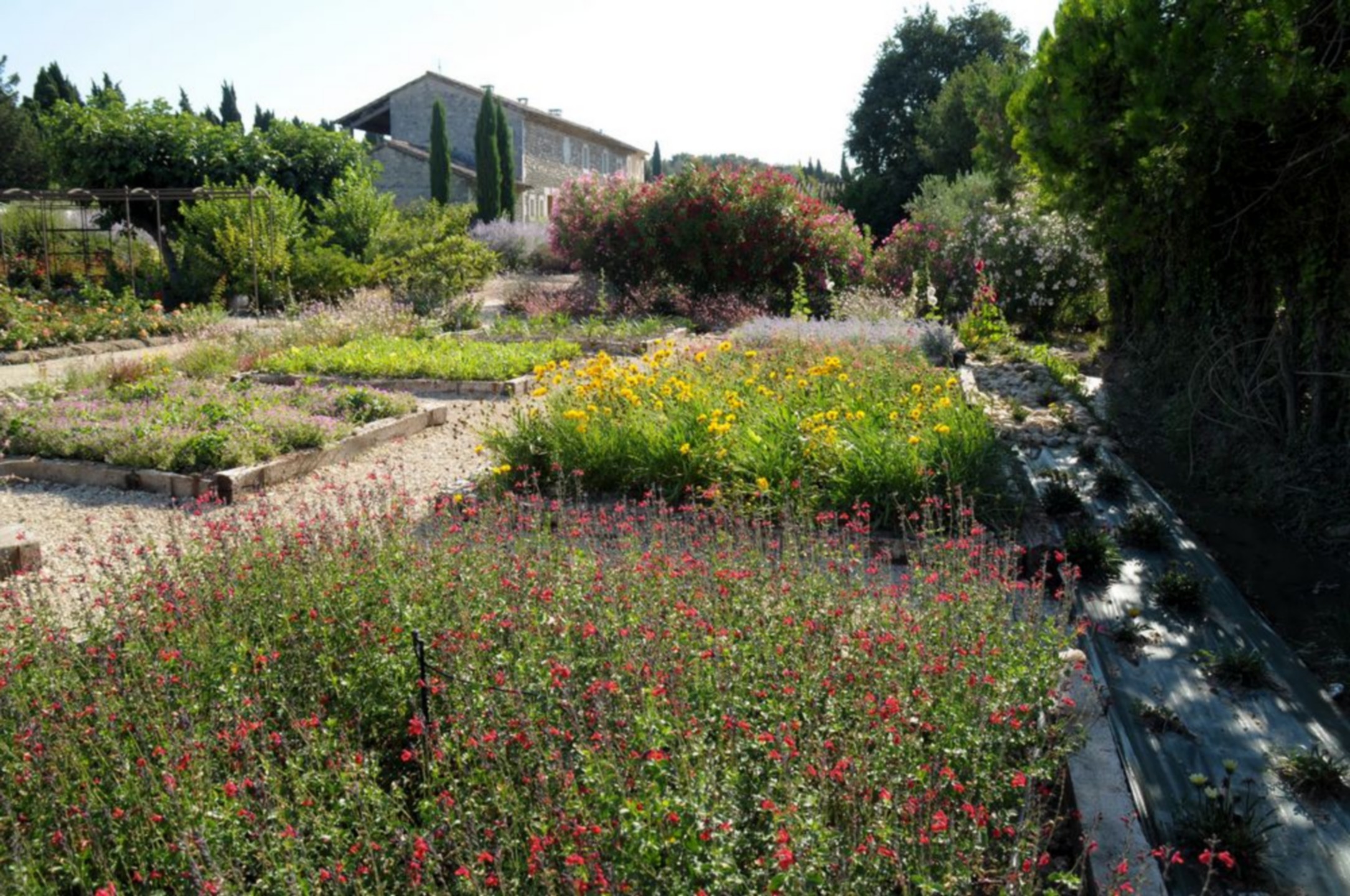 Le Jardin d'Alcinoos