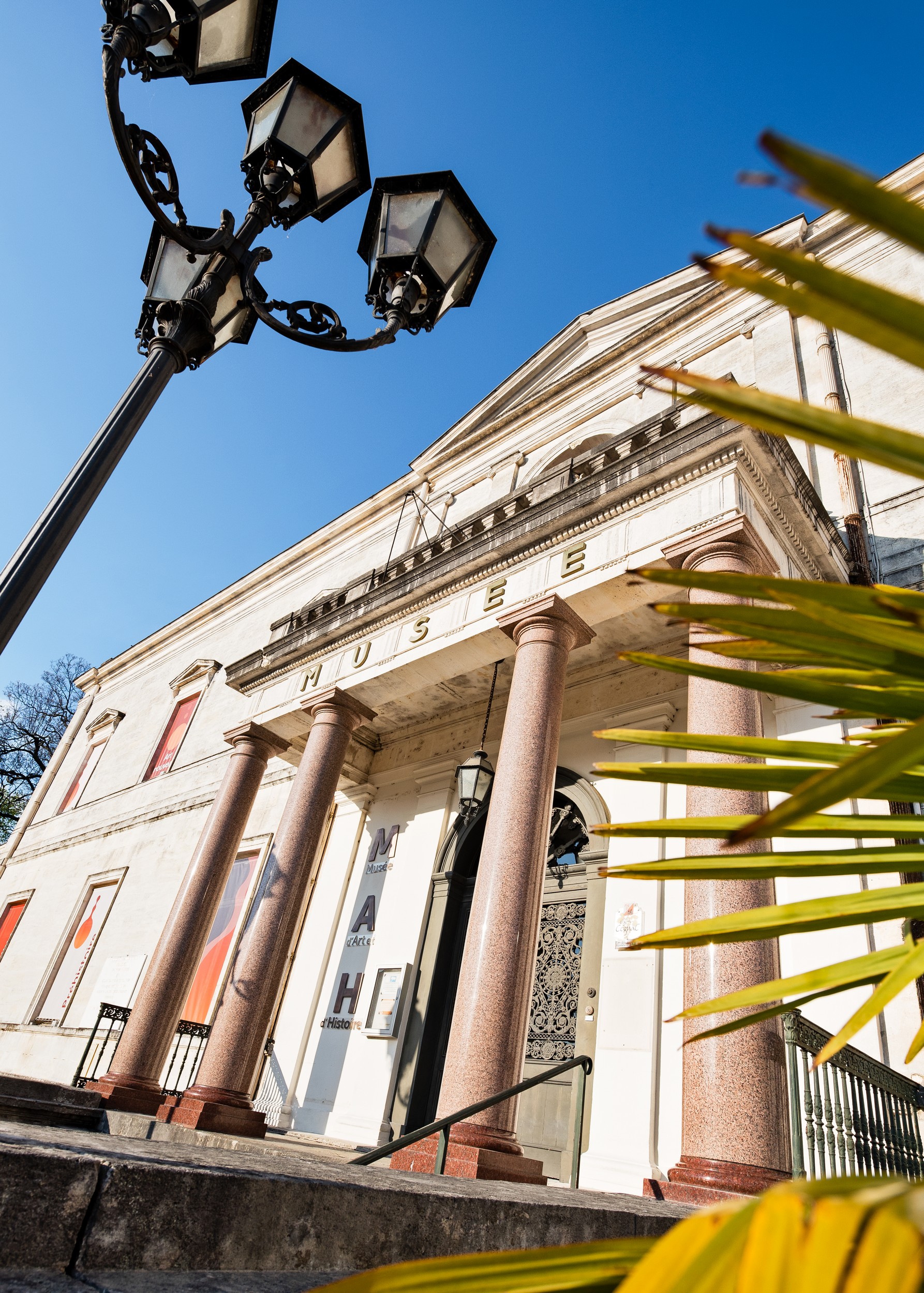 Yoga Ashvattha, l'arbre céleste | A la Maison du Négociant