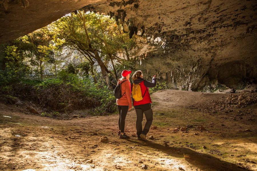 La Baume de Ronze_Orgnac-l'Aven