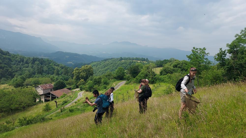 Les 24h naturalistes