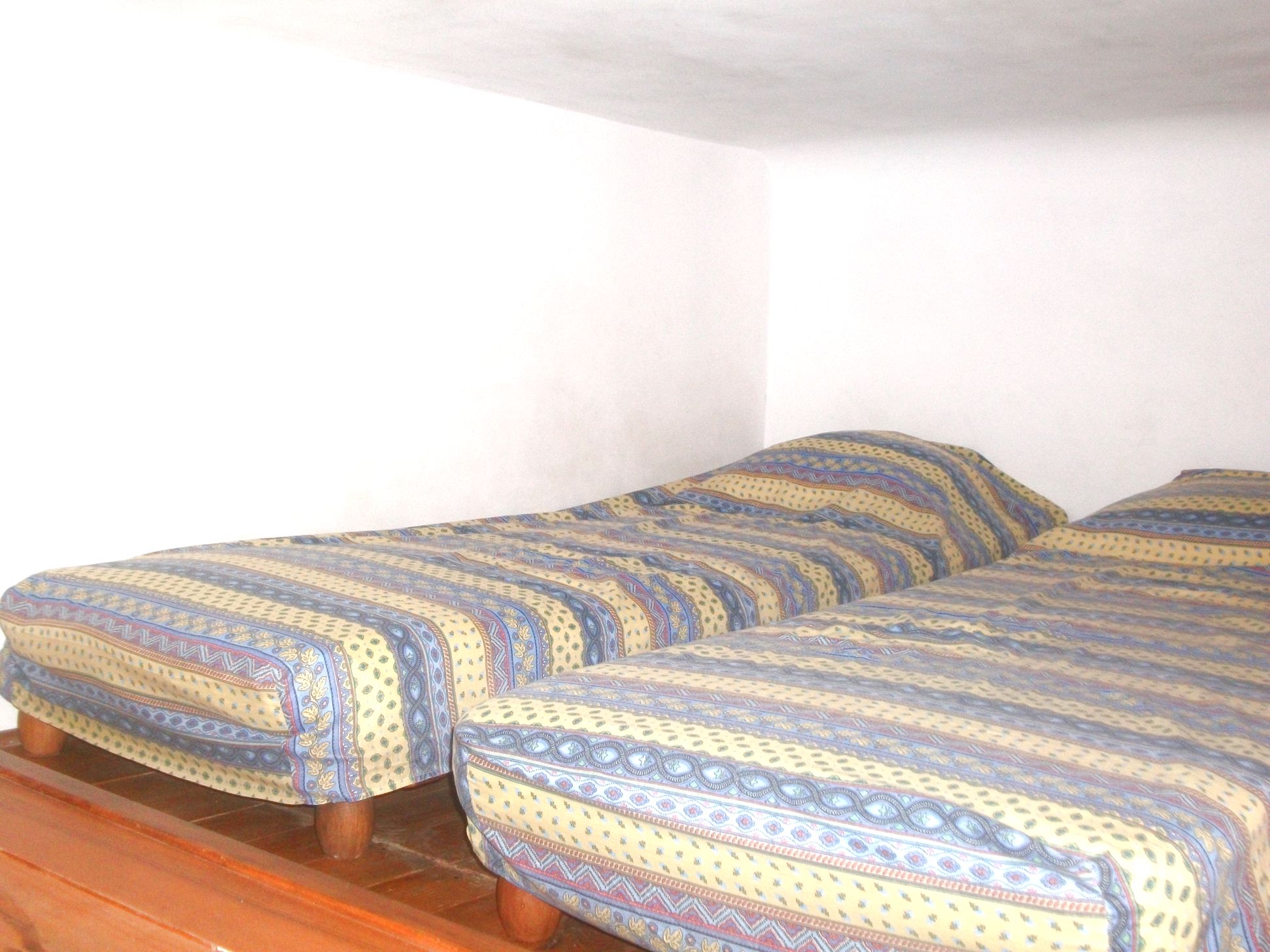 Anemone, Cassis - photo 7