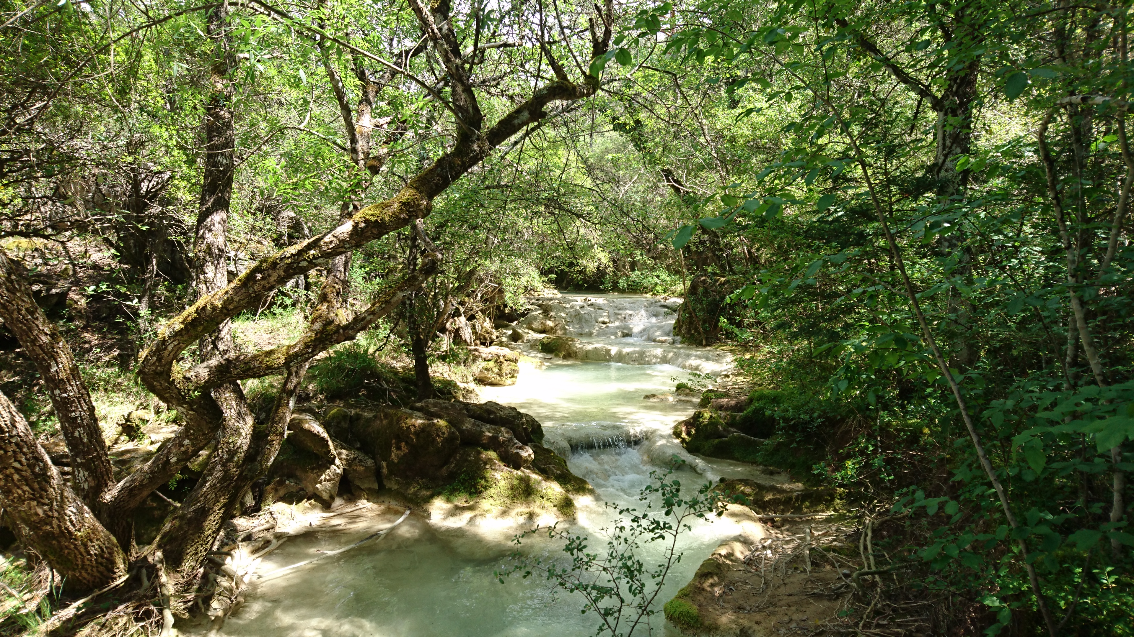 Massif de la Sainte Baume, Aubagne - photo 10