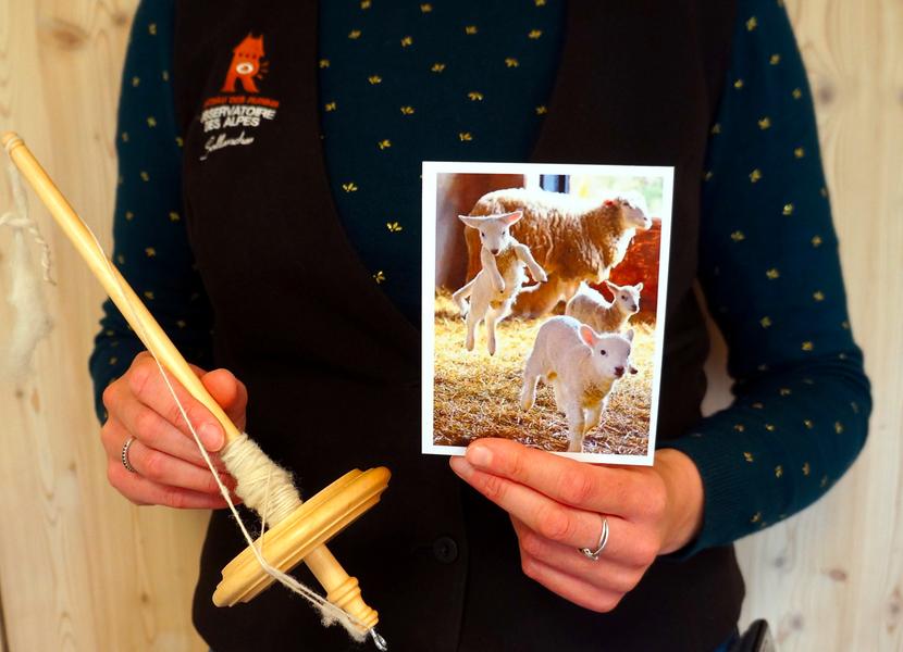 Au labo du château : Au fil du poil