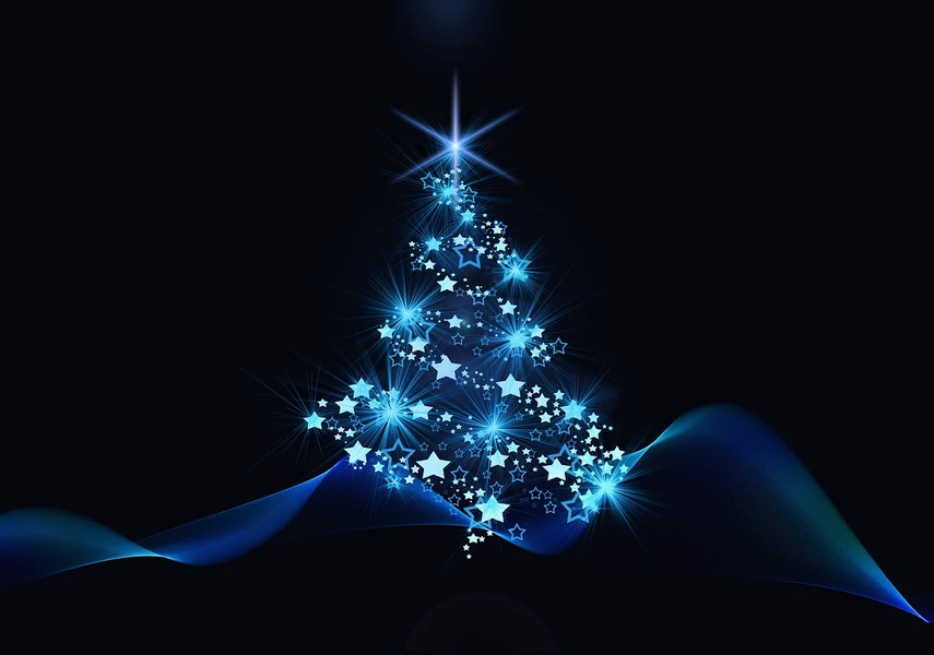 D'où vient le sapin de Noël?