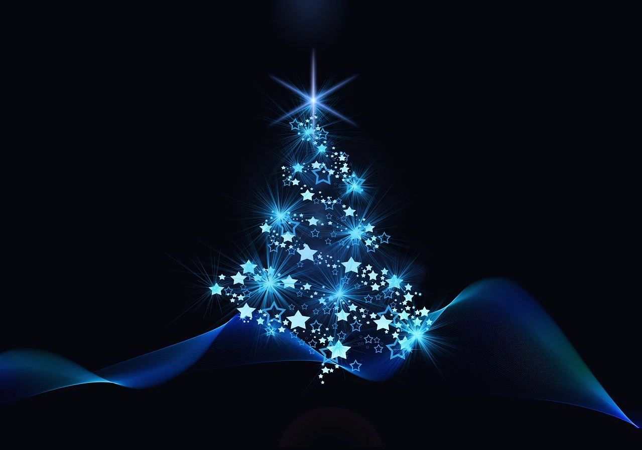 D'où vient le sapin de Noël?