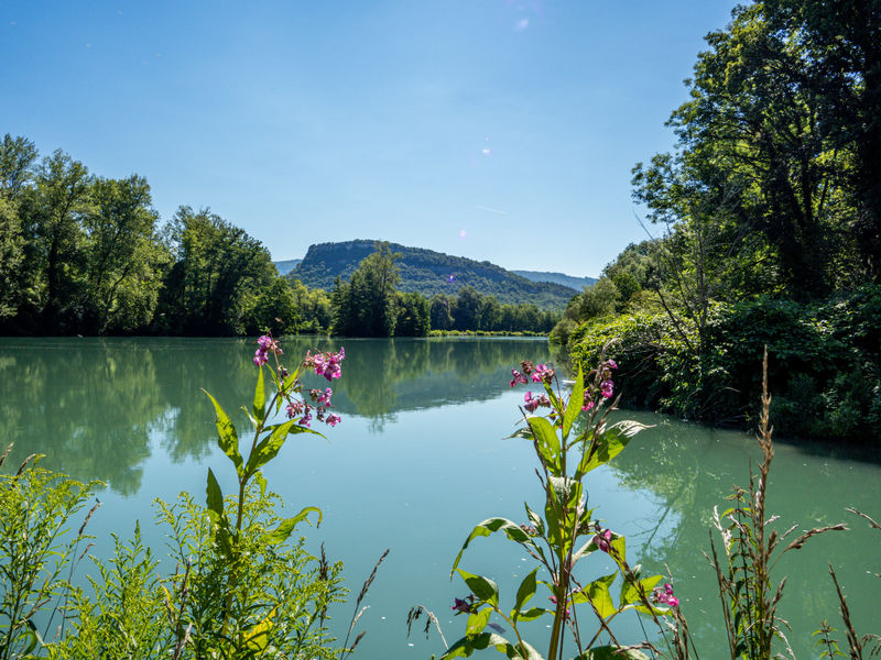 Vue sur le Rhône depuis l'aire de pique-nique