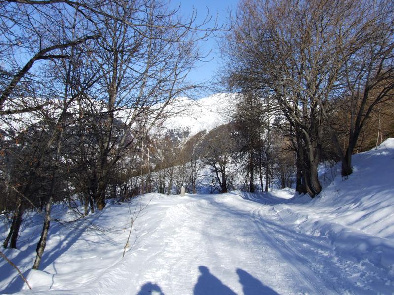 Chemin de Montgésin