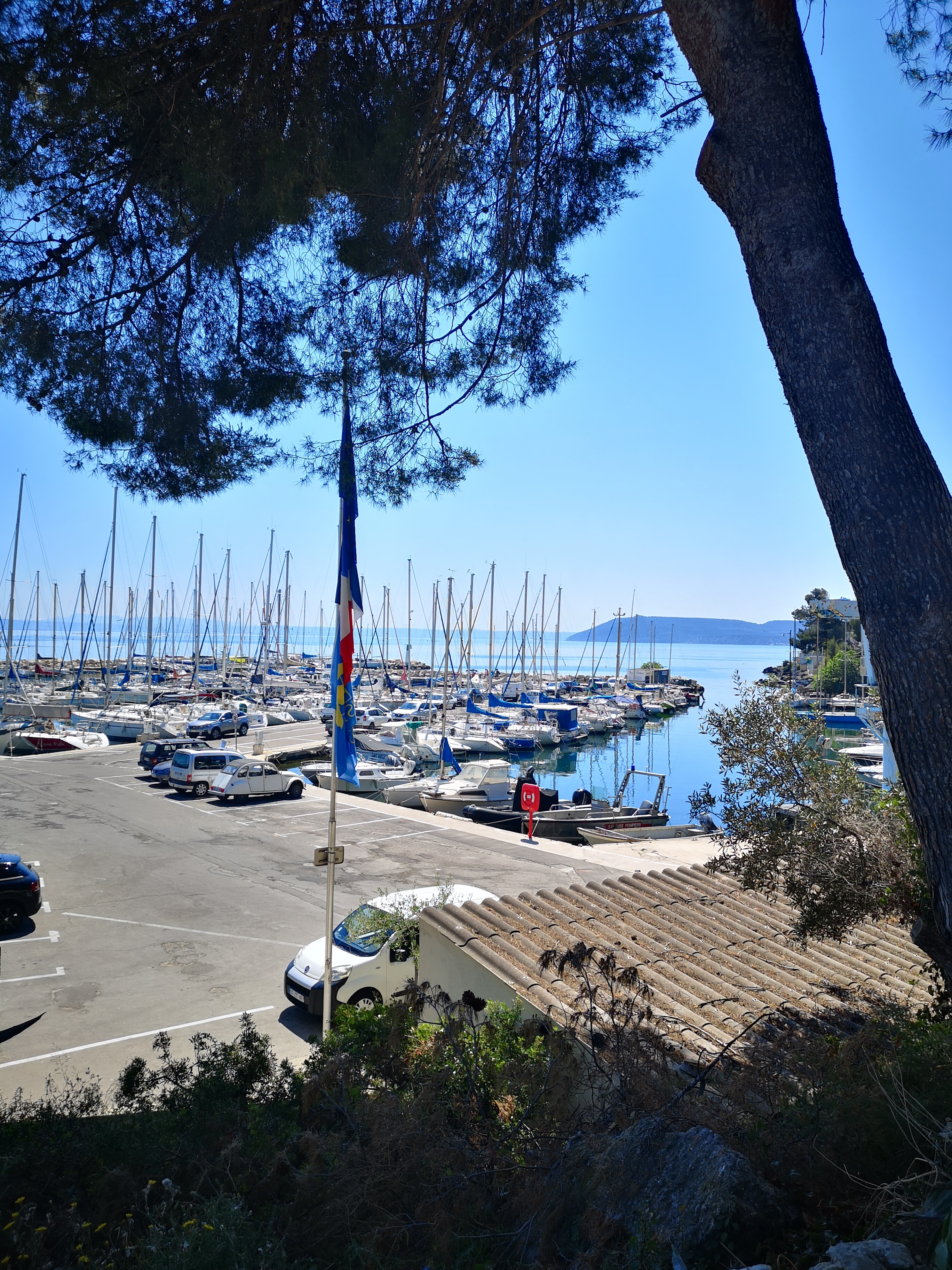 Au Petit Bouchon - photo 2