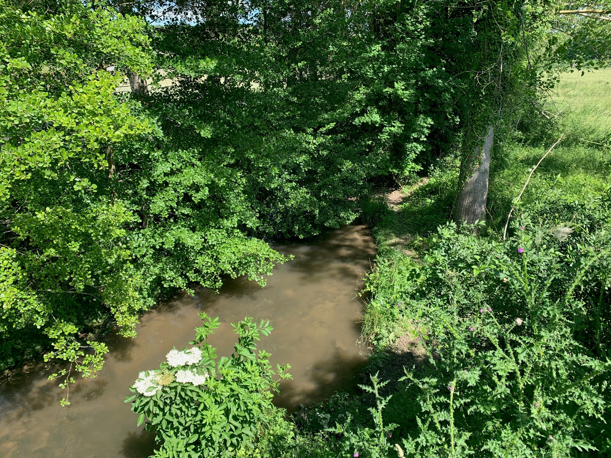 L'Aubette de la rive gauche à la rive droite
