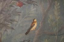 Conférence "La représentation des oiseaux dans la peinture murale au 1er siècle…