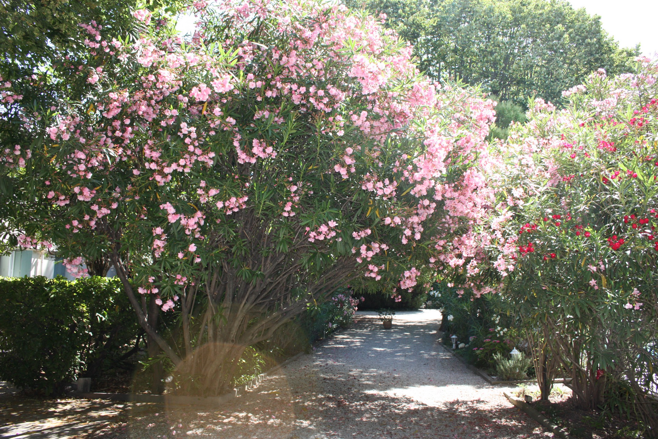 Hôtel le Chalet Fleuri