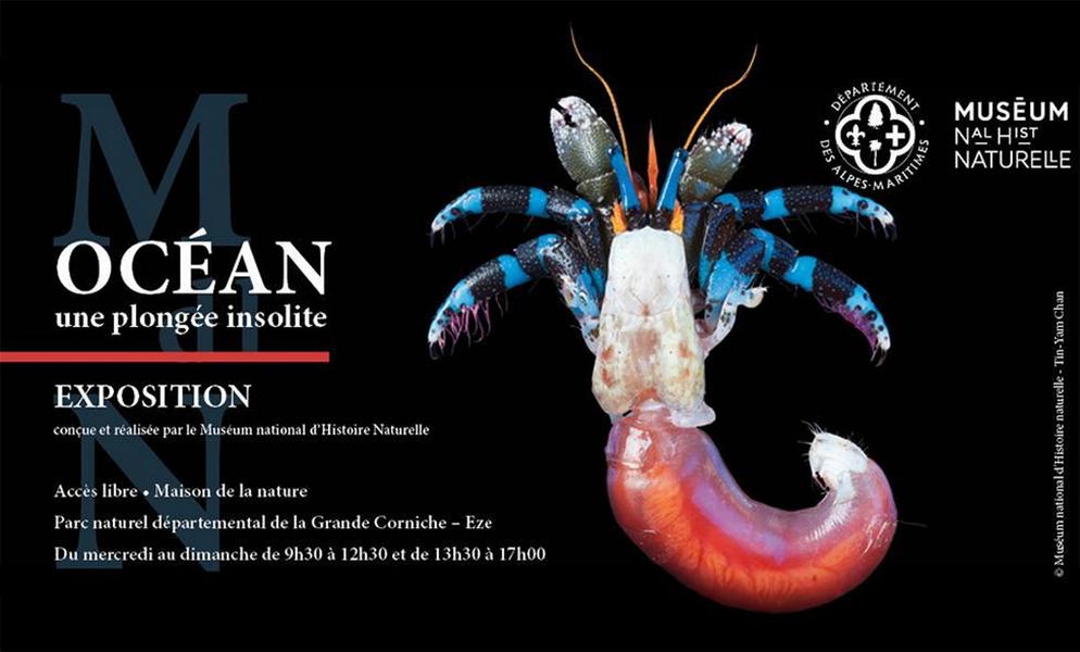 Exhibition "Ocean. An unusual dive" exhibition_Èze