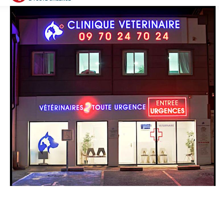 Clinique vétérinaire d'urgence Marseille