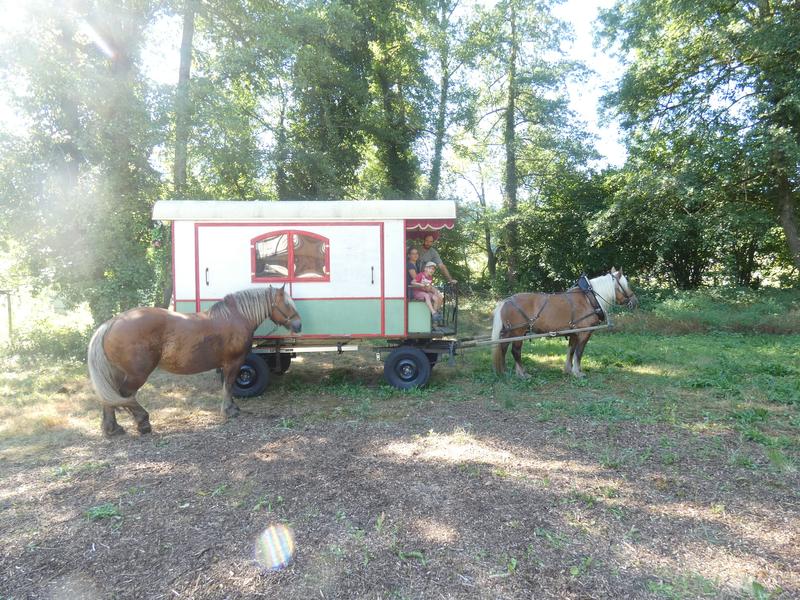 Le Château partagé_Dullin