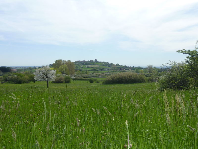 ENS plateau Mornantais-2