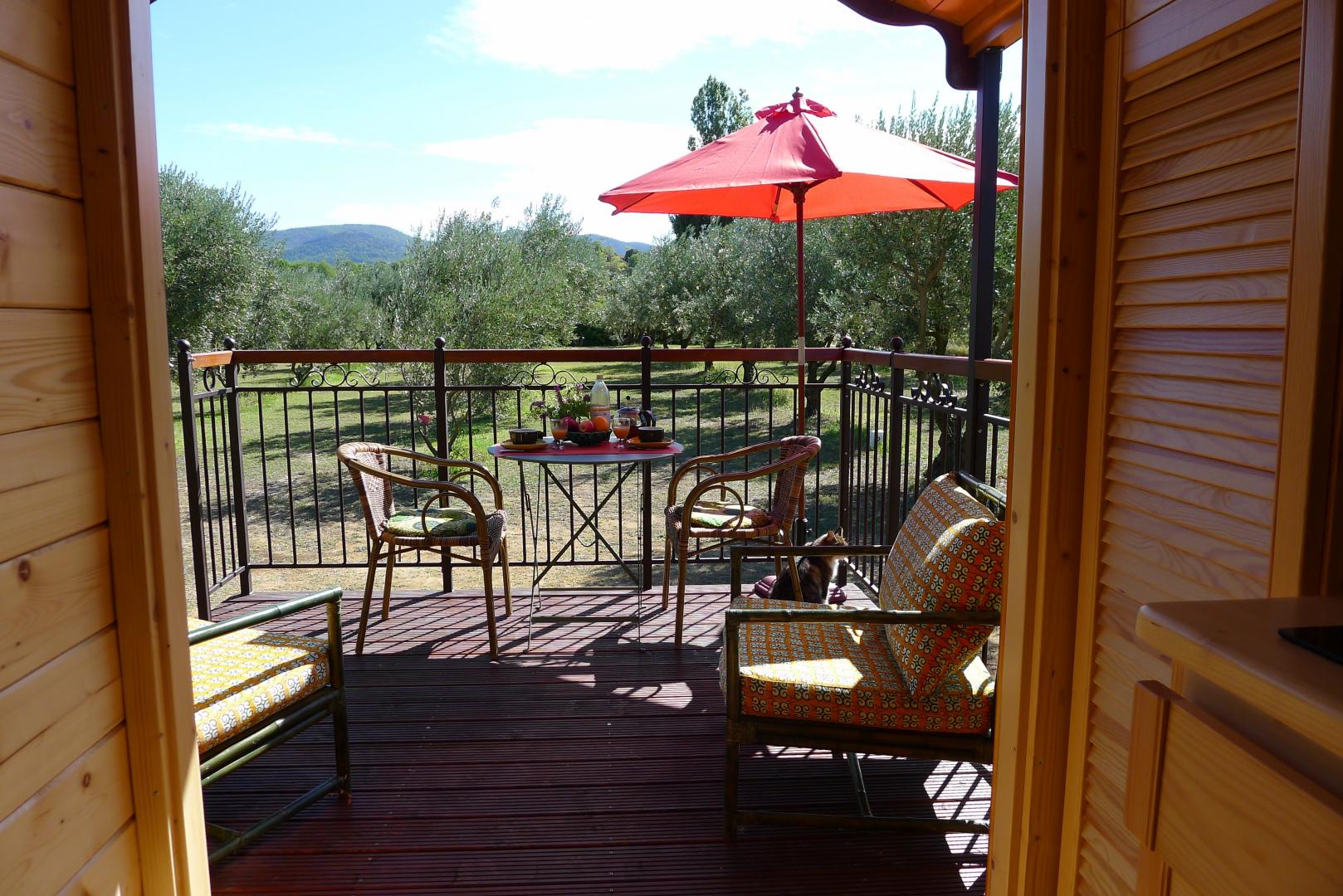 terrasse vue sur les oliviers