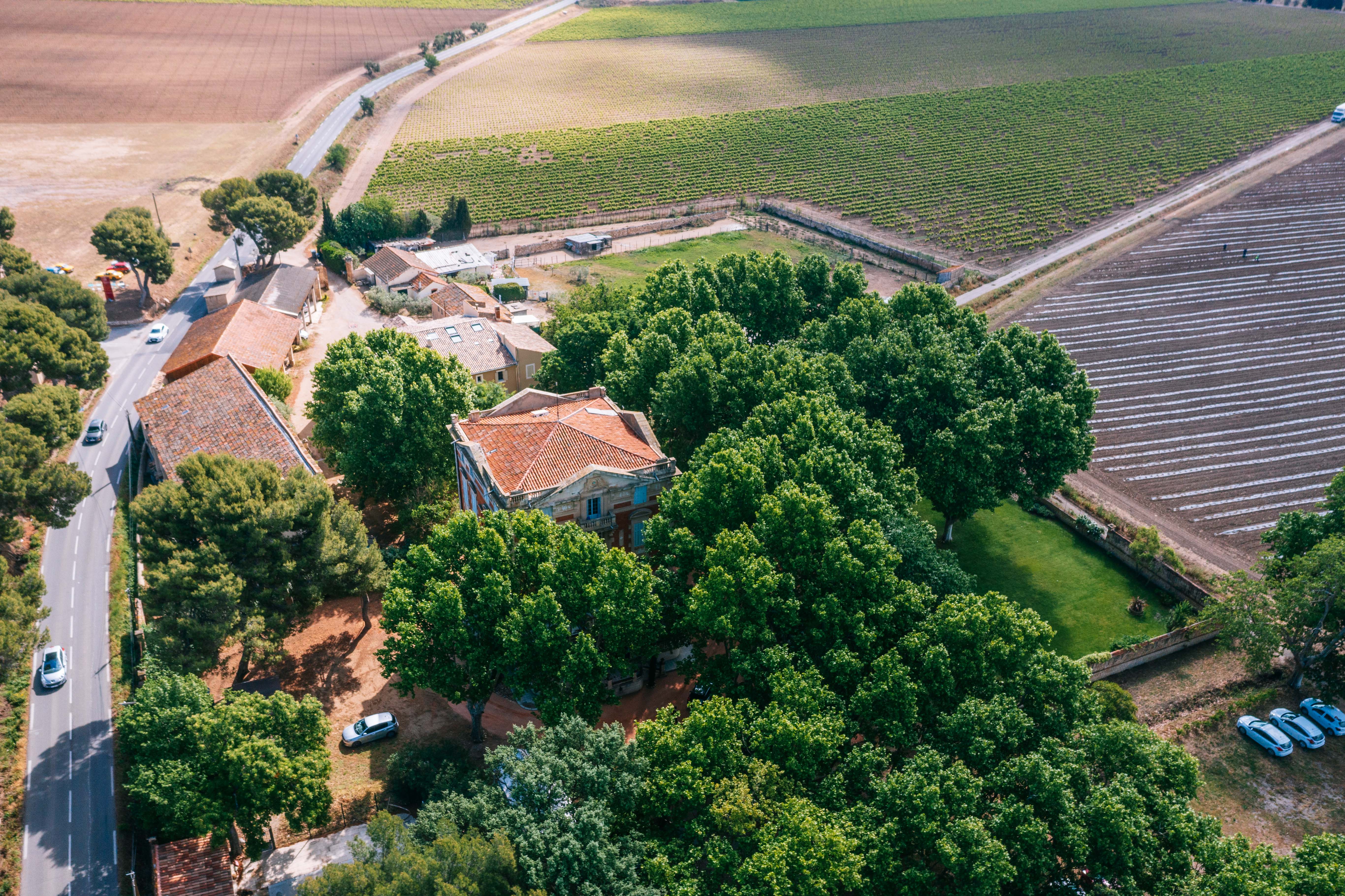 Château la Beaumetane, Lançon-Provence - photo 5