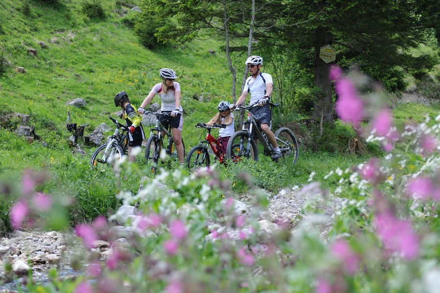 Activités en famille à Châtel