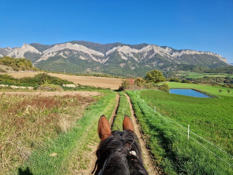 Centre équestre ventavon - © Centre équestre equiterra