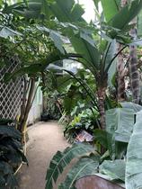 Les serres du jardin des plantes_Grenoble