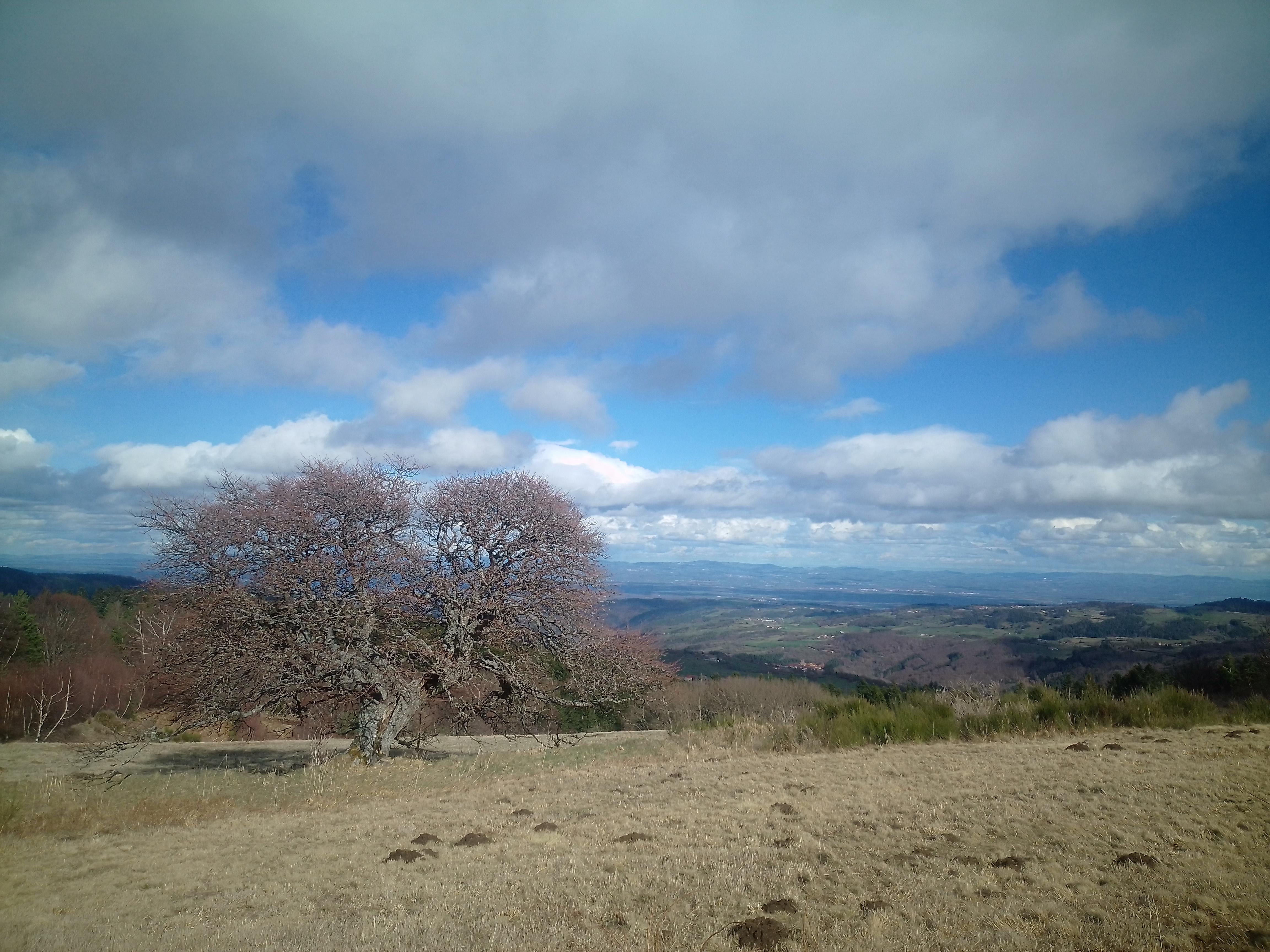 Un tipi en nature : petit et grand défi de la nature - MARCILLY-LE-CHÂTEL