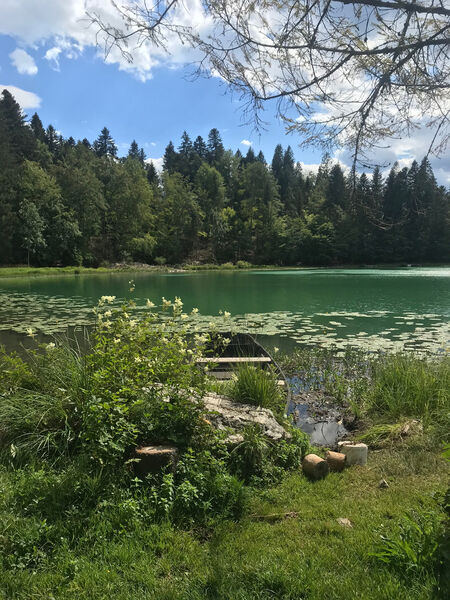 Lac Genin