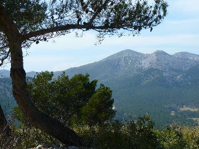 Carnoux : le plateau de Languilard, Carnoux-en-Provence - photo 5