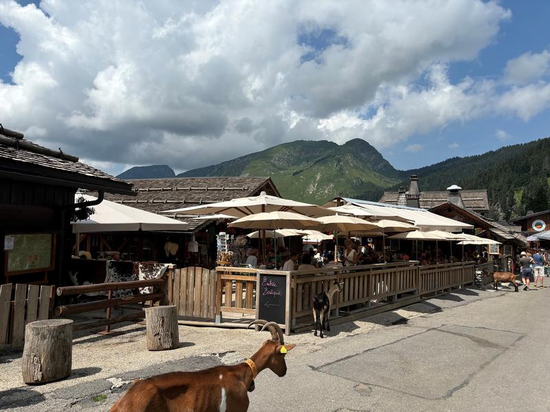 La Crémaillère_Montriond