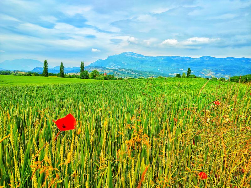 Les Balcons de St-Paul sur Yenne