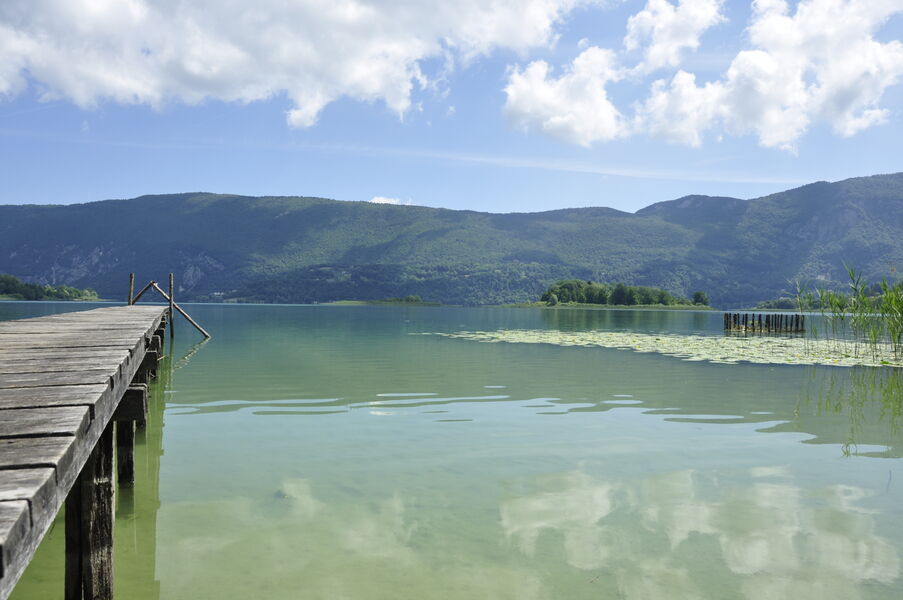 Ponton du parc de la Maison ronde
