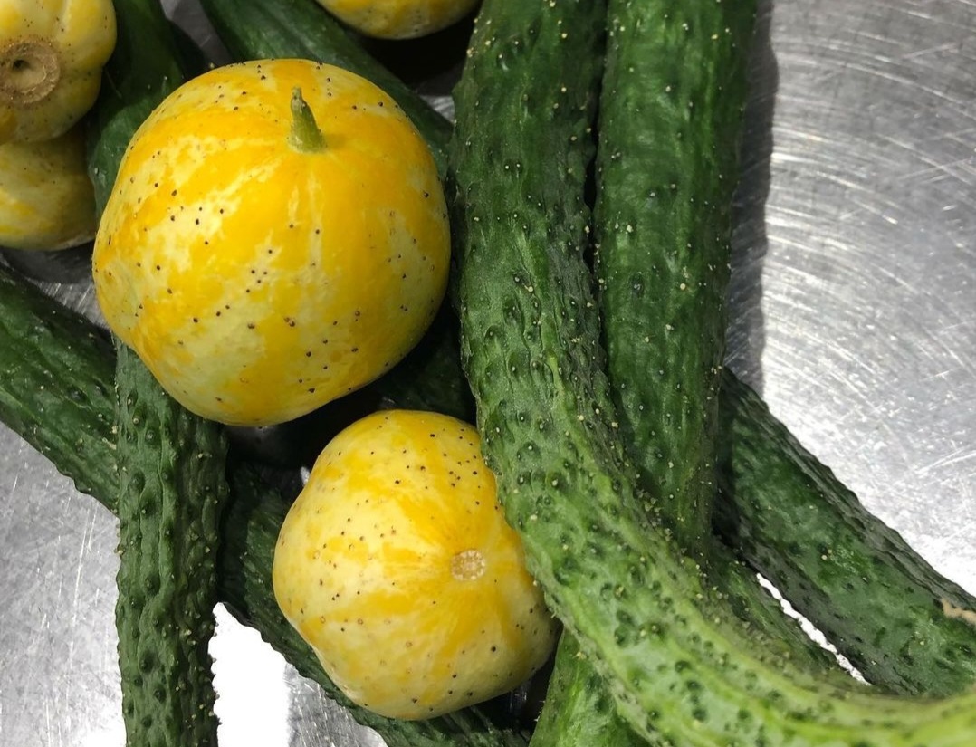 Screenshot_20220616-115445_Instagram