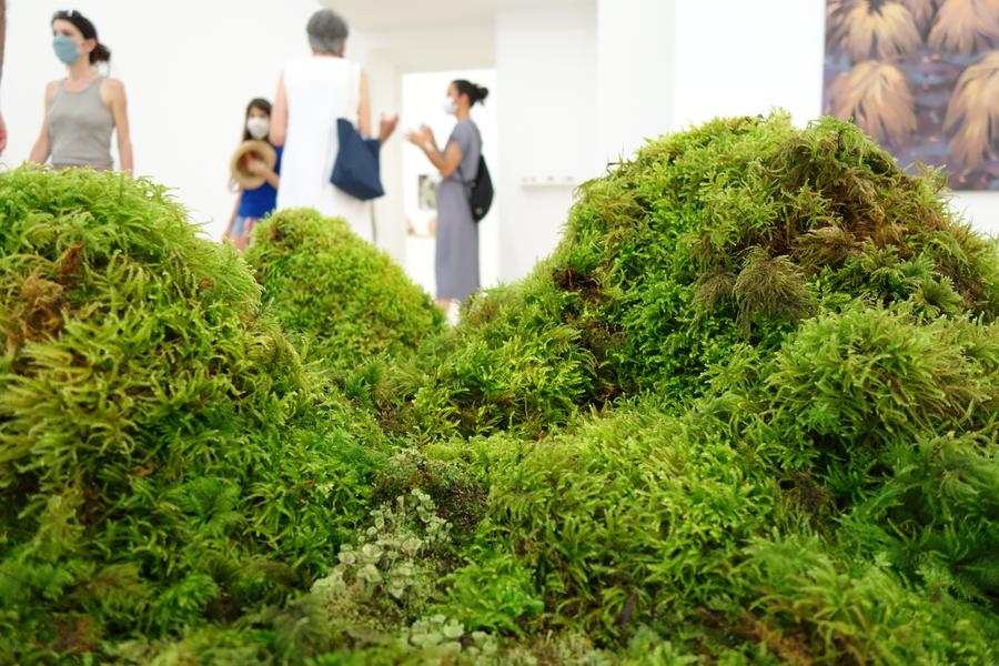 Visite de l'exposition A perte de vue