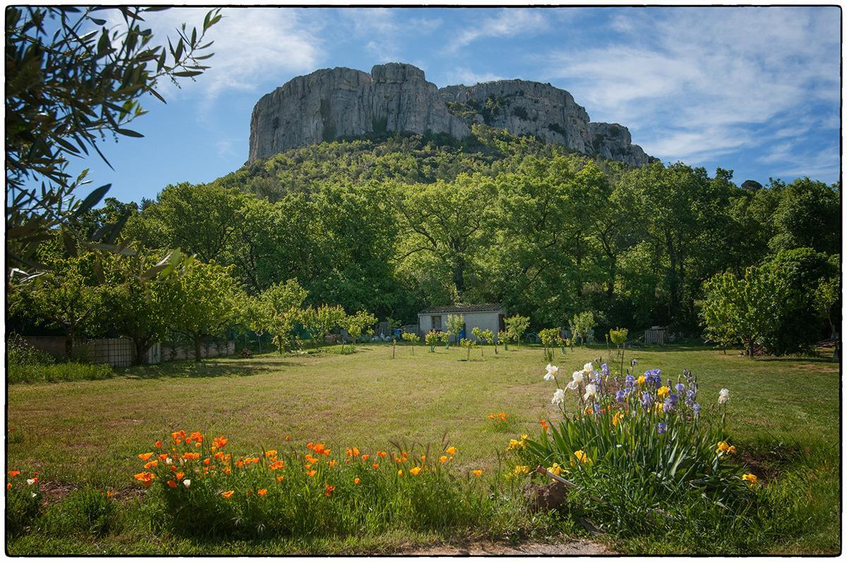 Le Grand Pin, Roquefort-la-Bédoule - photo 32