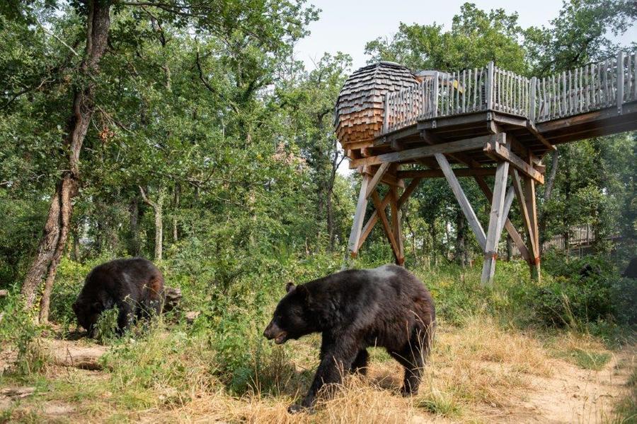 Nuit au Safari_Peaugres
