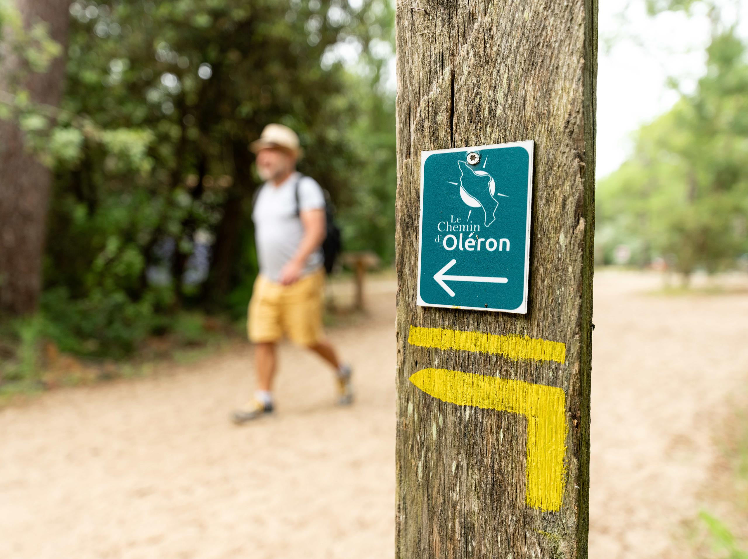 Chemin d'Oléron - de Domino à Le Grand-Village-Plage