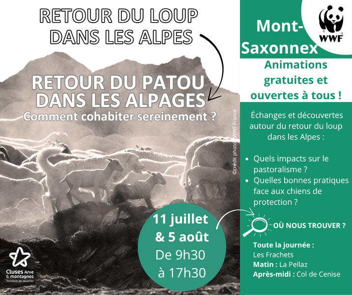 Awareness-raising event in mountain pastures with WWF