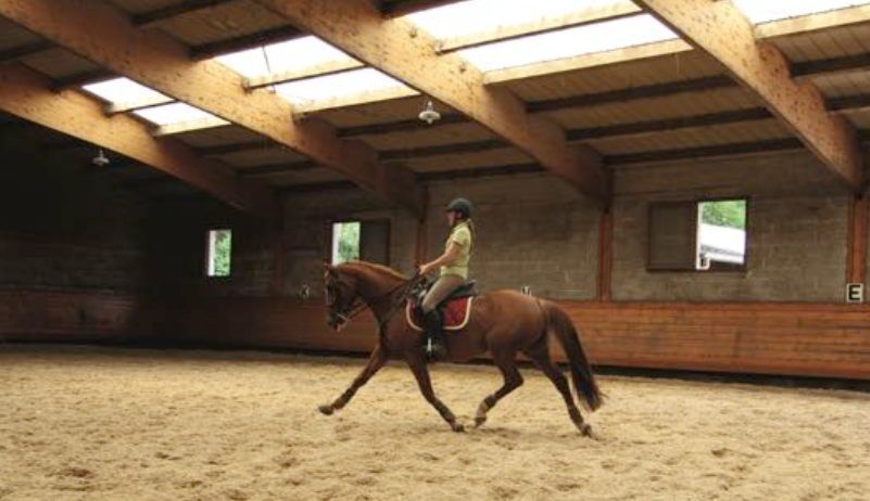 Stage d'équitation Juniors (13-17 ans) dans le Vercors