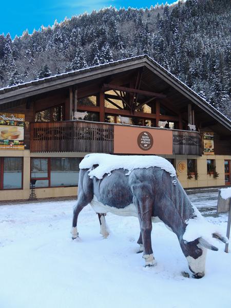 Visite commentée de la Maison du Fromage Abondance