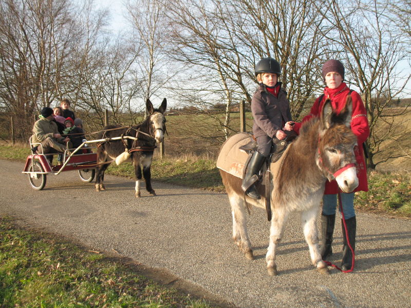 Balades à dos d'ânes avec les ânes des terres froides