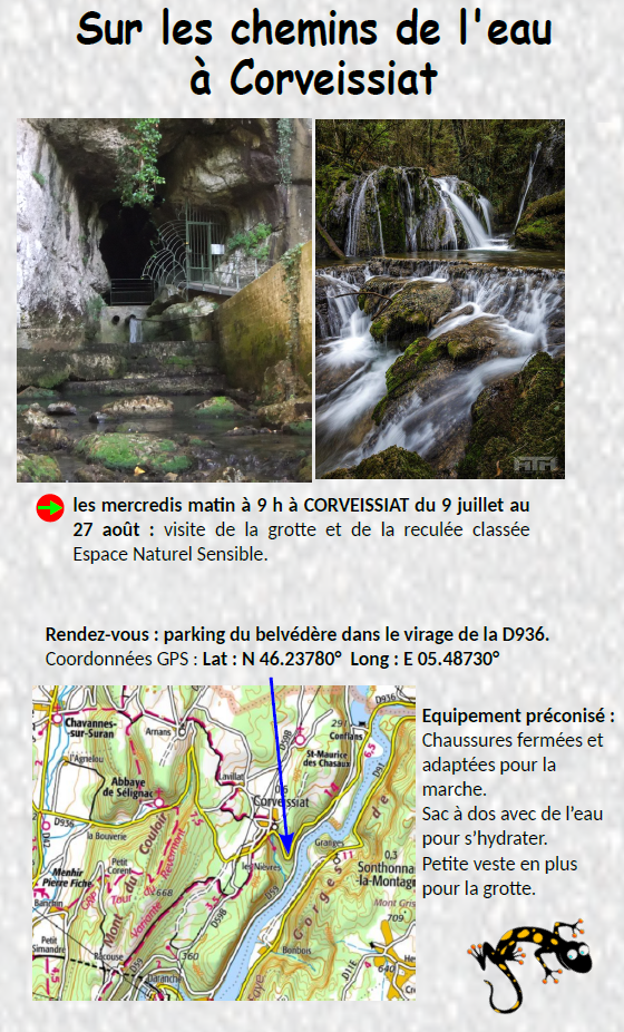 MATIN Grotte et reculée de Corveissiat